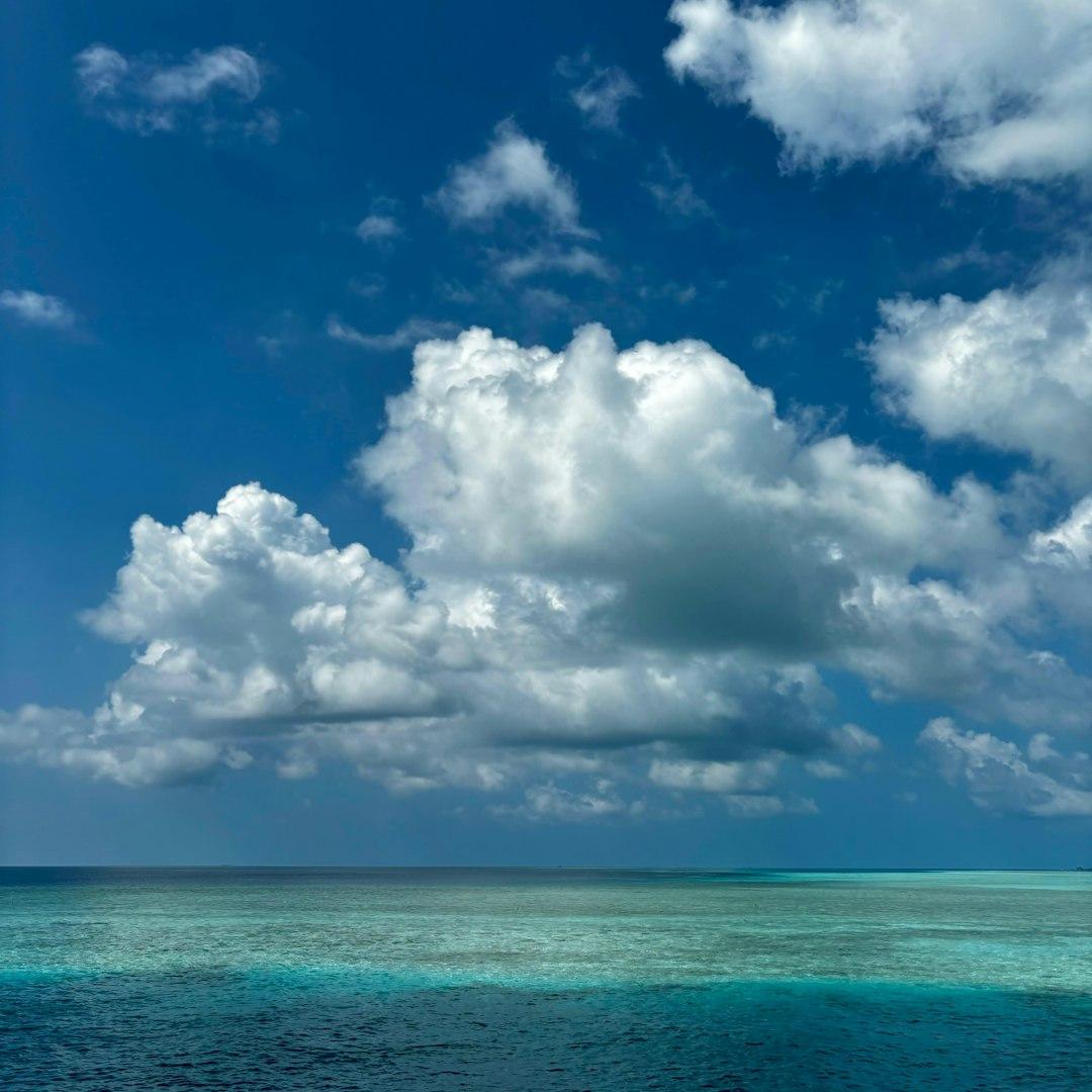 West Palm Beach Weather Guide: Best Times to Fish & Dive